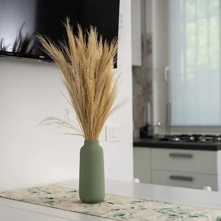 Elegante Piano Terra A 200 Mt Dal Mare * Cervia